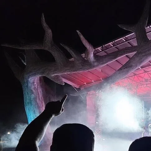 The stage canopy in haze at night, a hand raised in the crowd